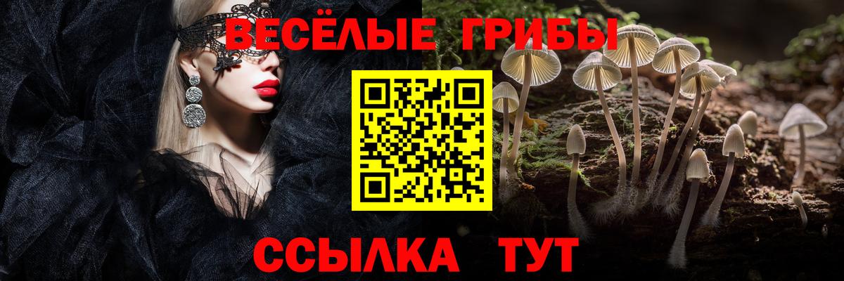 Псилоцибиновые грибы Psilocybine cubensis  Вход с VPN  Зерноград 